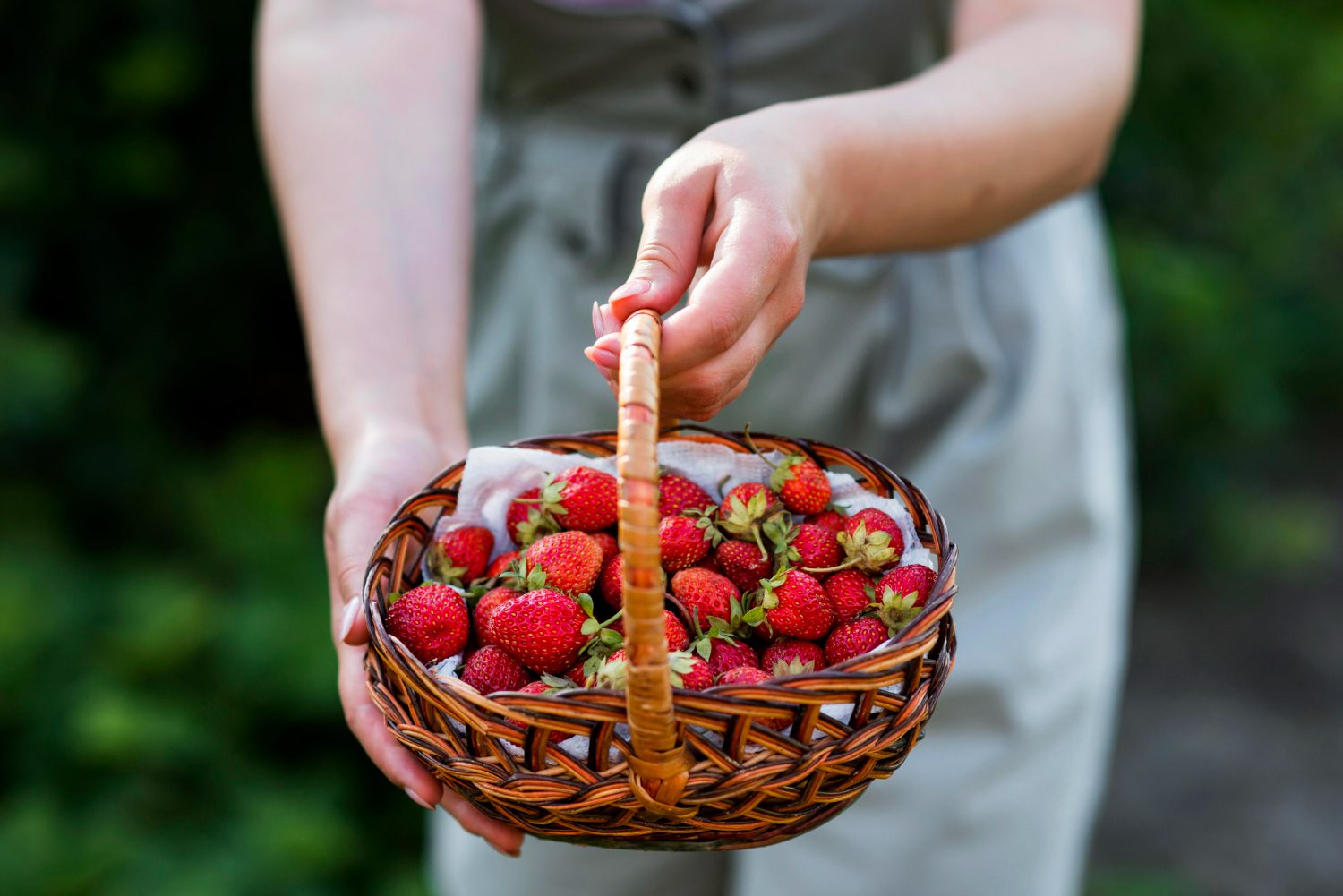 photo close-up hands holding strawberries basket